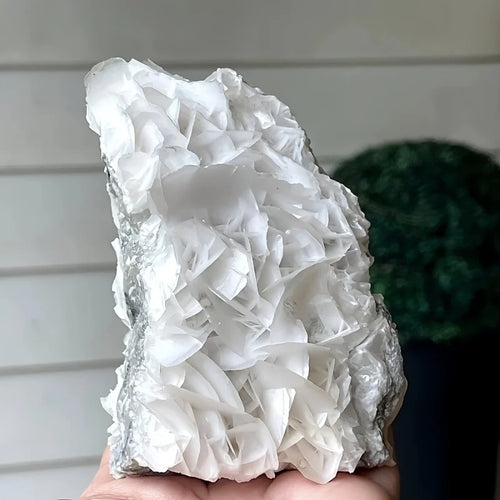 1pc 200-300g White Rose Calcite Mineral Speciman UV Reaction Under UV Light Home Decoration Valentine's Day Gift